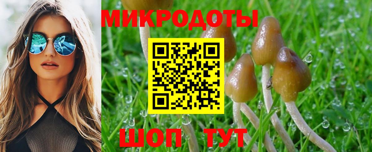 Псилоцибиновые грибы Magic Shrooms  Вход с VPN  Благовещенск 